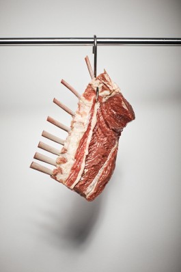 Fotograf, Photograph, Industrie, Industriefotografie, Portrait, Portraitfotografie, Businessportrait, Beautyfotografie, Businessfotografie, Hotelfotografie, Werbefotografie, Fotografie, Landeck, Tirol, 