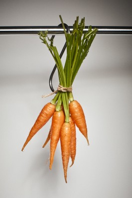 Fotograf, Photograph, Industrie, Industriefotografie, Portrait, Portraitfotografie, Businessportrait, Beautyfotografie, Businessfotografie, Hotelfotografie, Werbefotografie, Fotografie, Landeck, Tirol, 