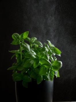 Fotograf, Photograph, Industrie, Industriefotografie, Portrait, Portraitfotografie, Businessportrait, Beautyfotografie, Businessfotografie, Hotelfotografie, Werbefotografie, Fotografie, Landeck, Tirol, 